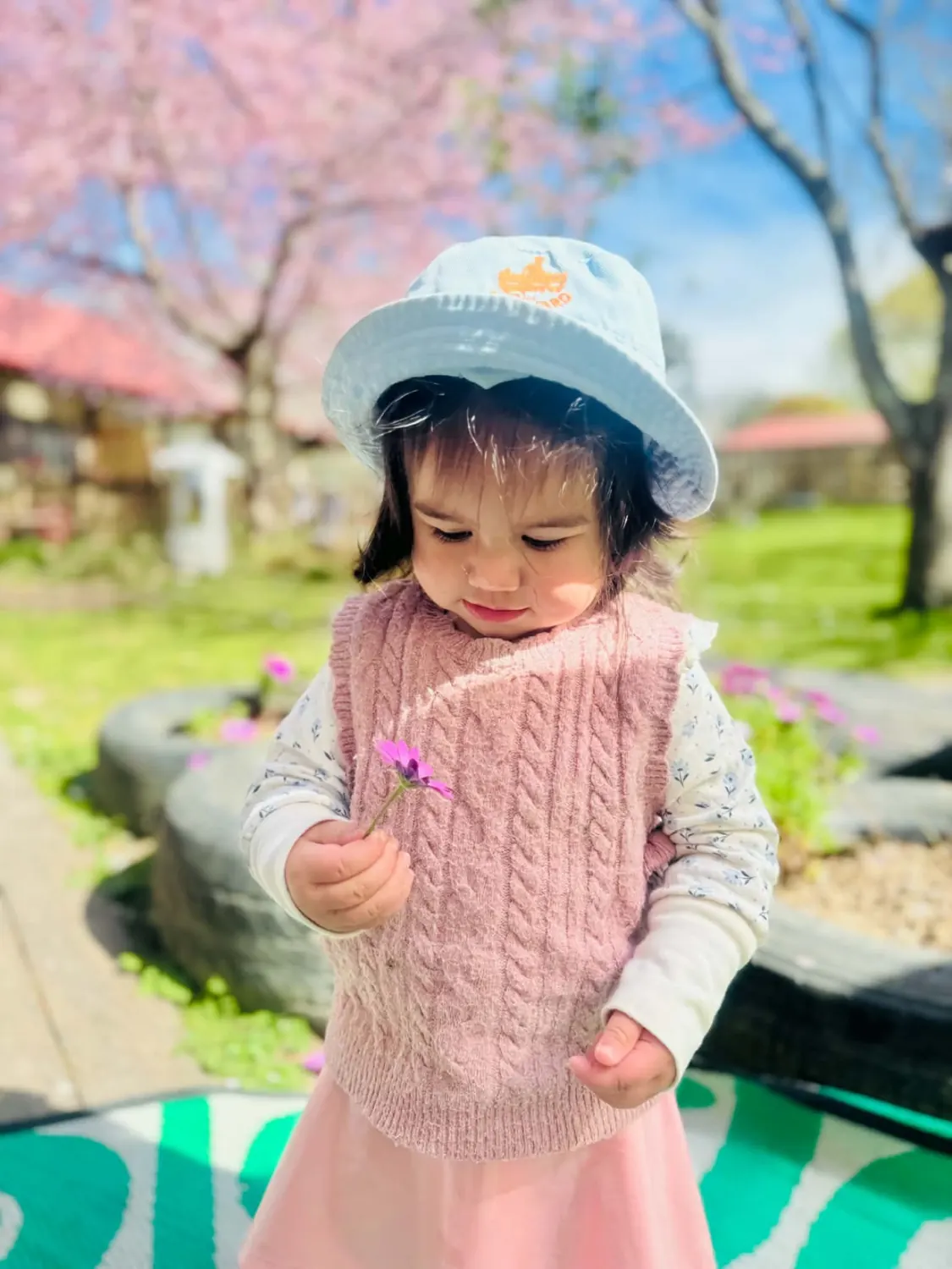 A toddler holding a flower under the blossom trees