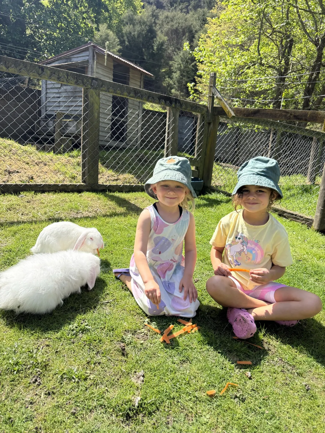 Two children in sun hats feeding carrots to the white rabbits