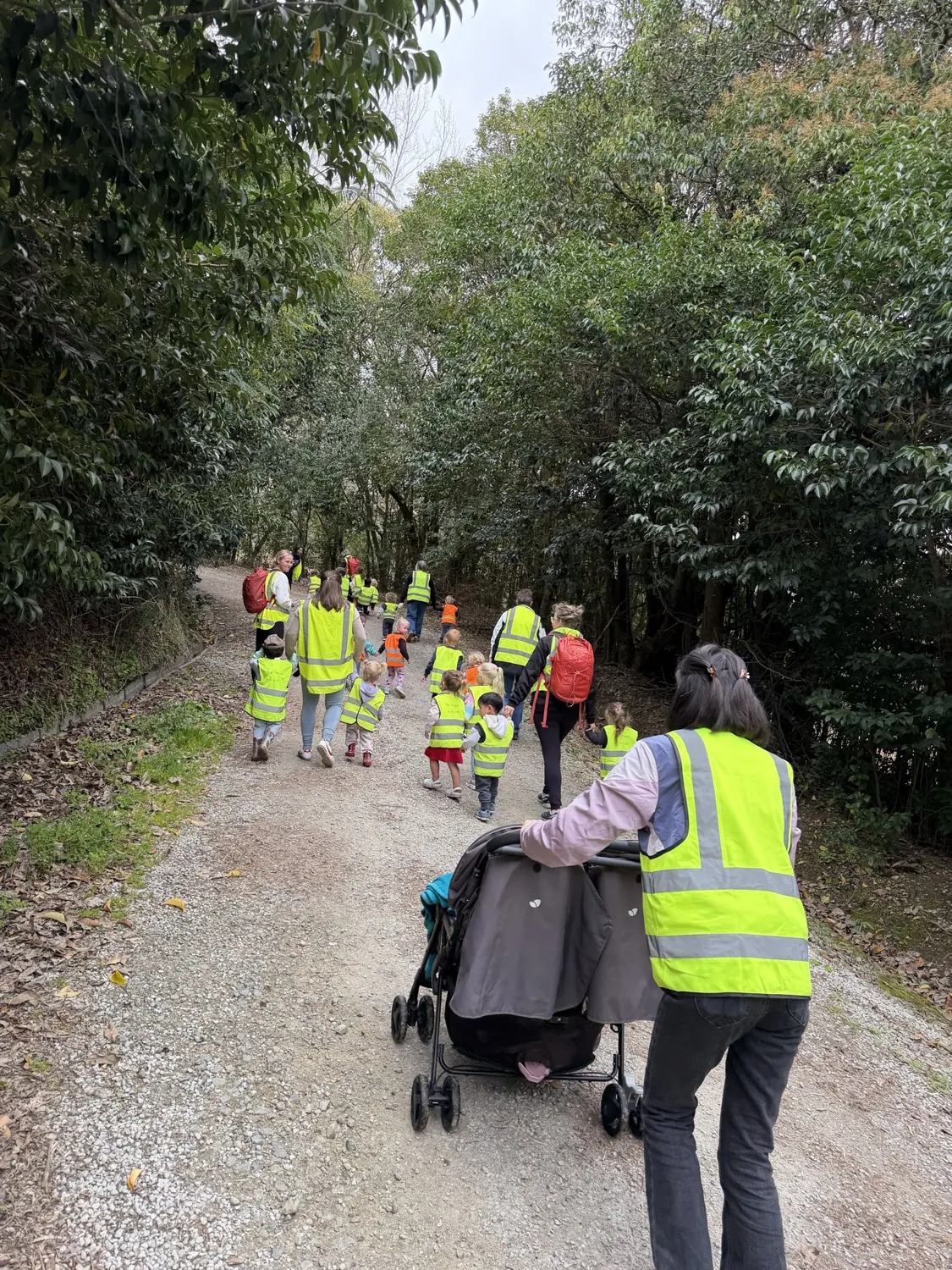 Children in hi-vis vests and a teacher with a stroller walking up the hill track
