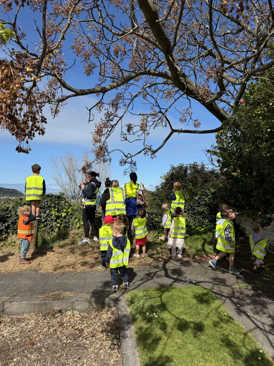 Children and teachers exploring a bush track on a sunny day