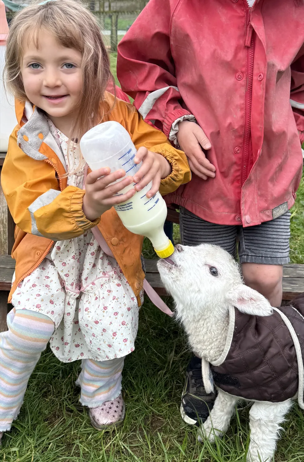 A smiling child bottle feeding a lamb at The Farmyard