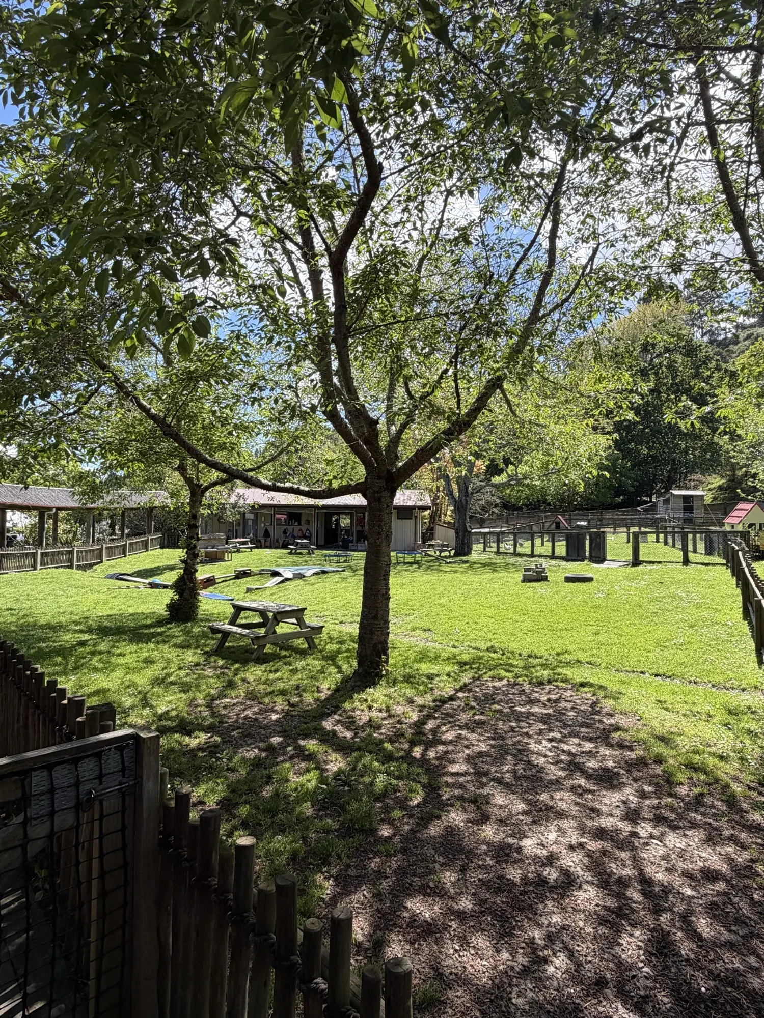 The sunny lawn, picnic tables and centre buildings seen through the trees