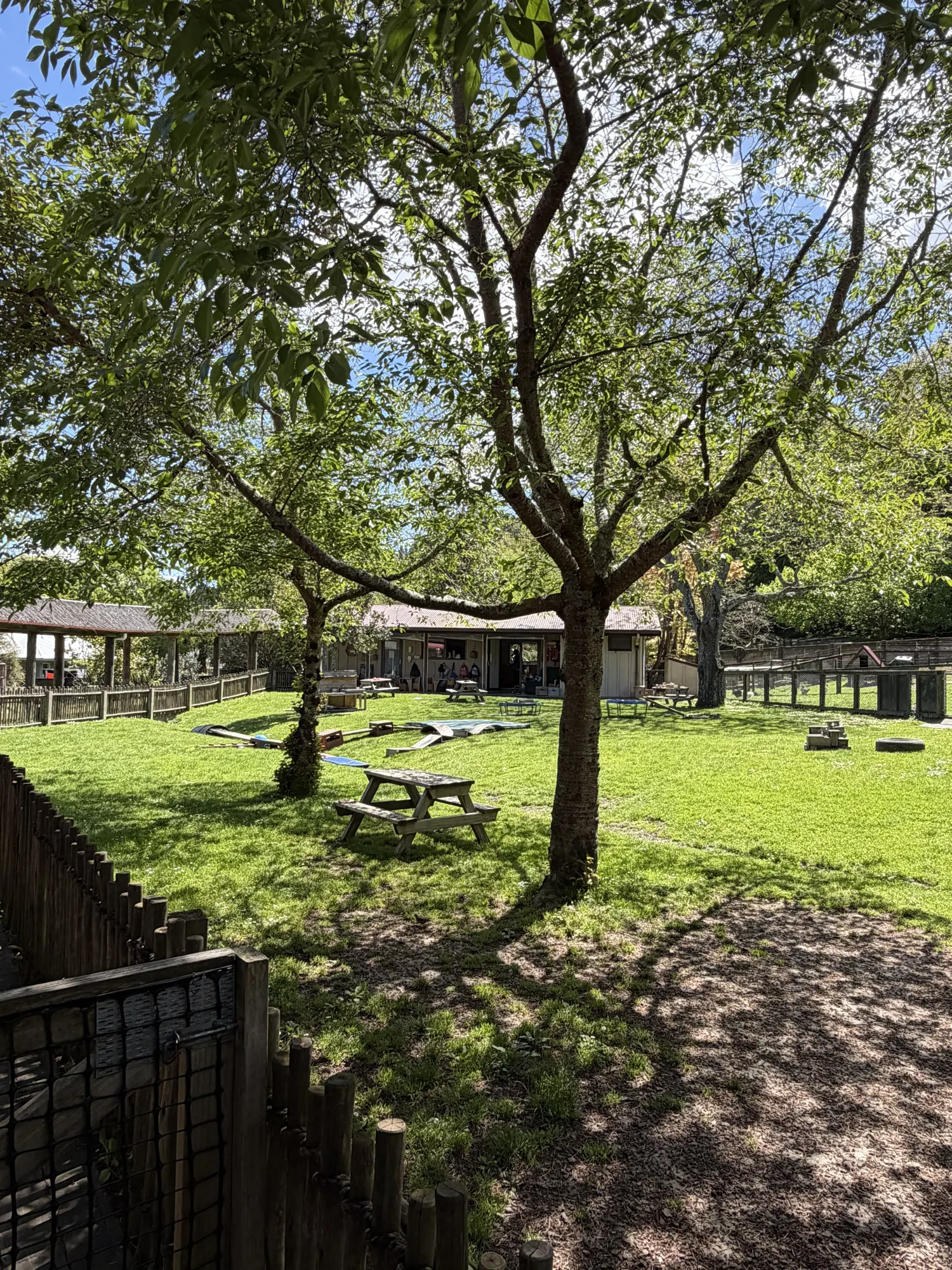 A big shady tree on the lawn with picnic tables and the centre buildings behind