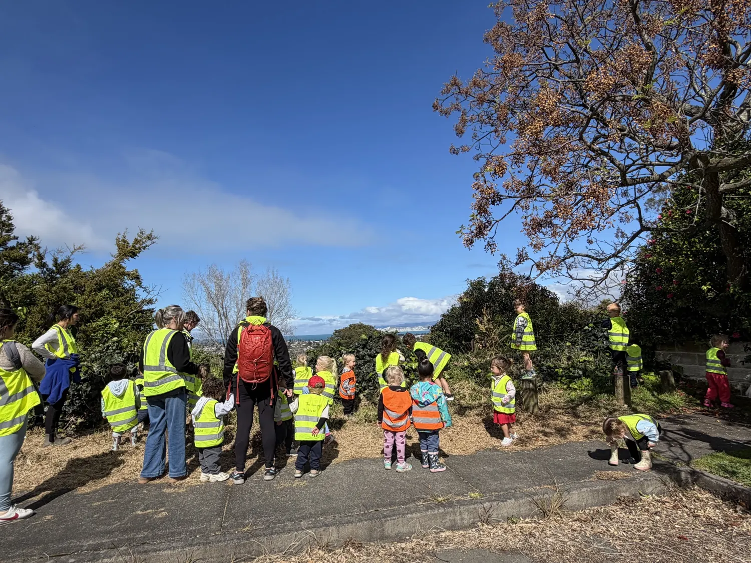 Older children and teachers on a bush walk with a view over Gisborne