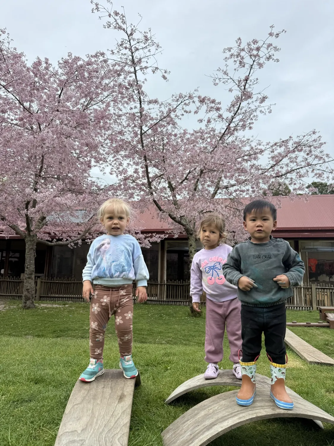 Three toddlers balancing on the curved wooden beams under the blossom tree