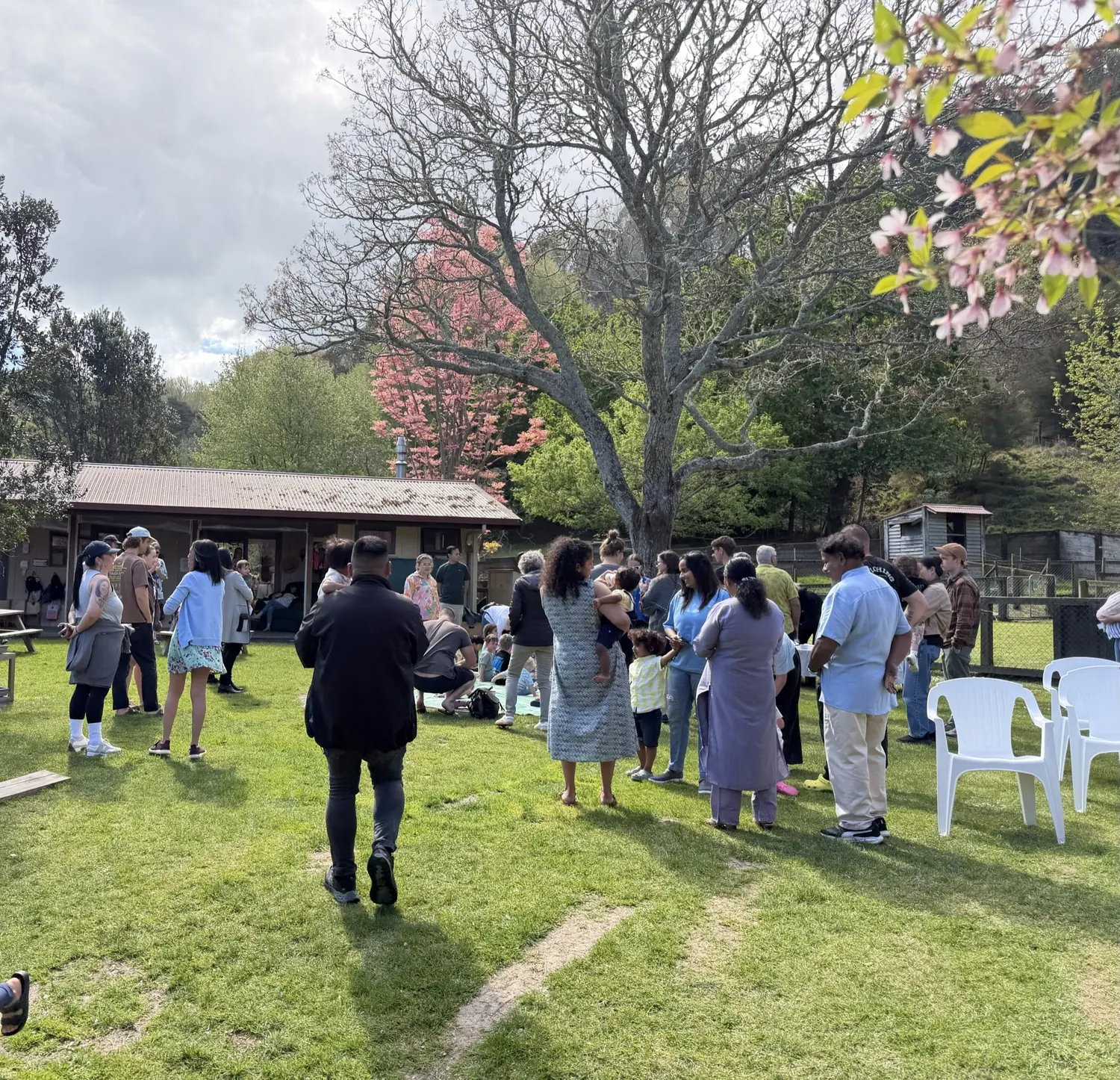 Whānau gathered on the lawn under the blossom trees at the Spring Festival